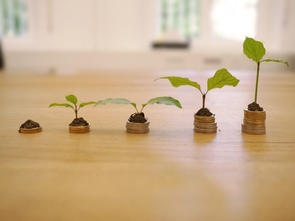 money tree